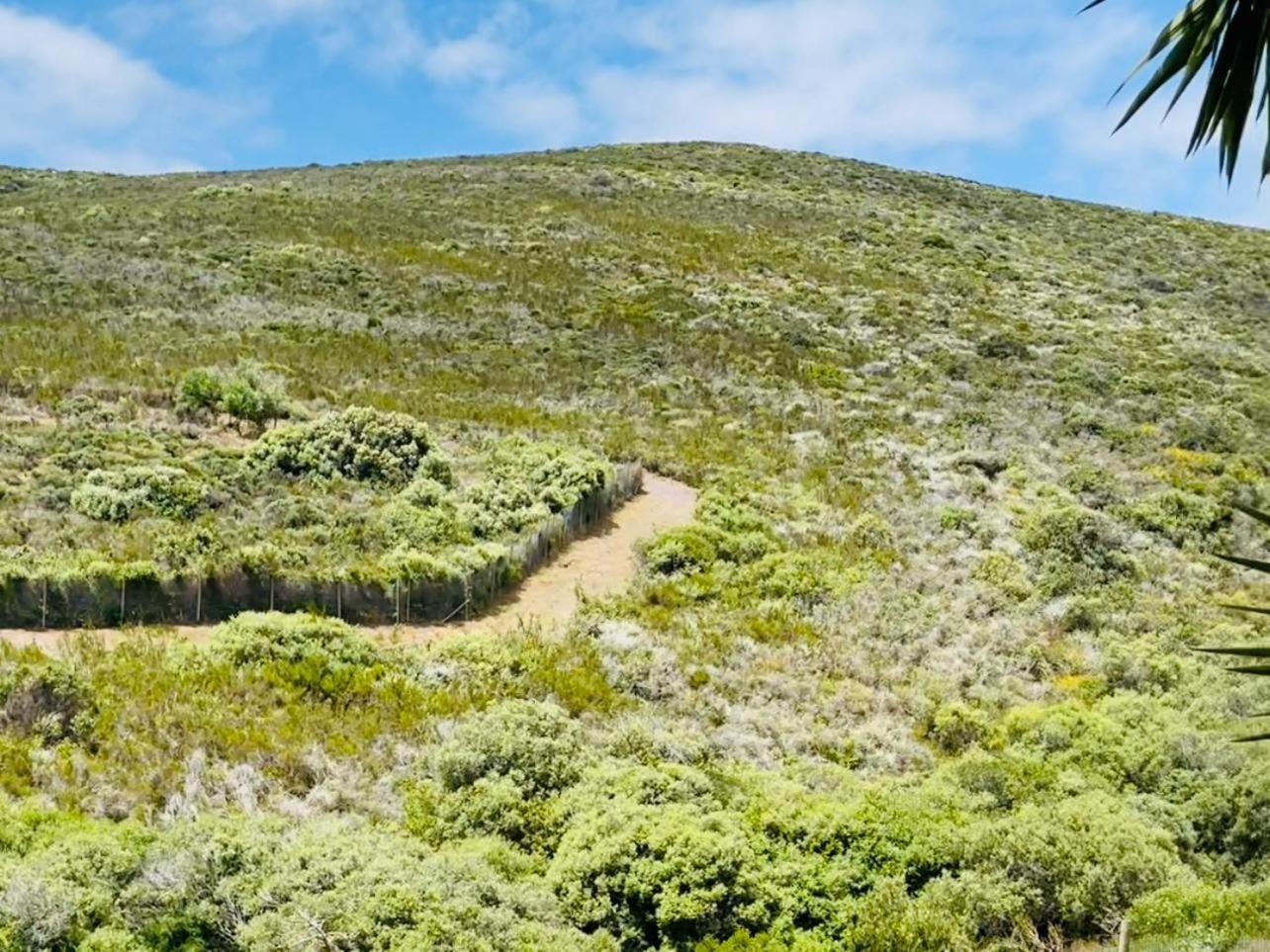 Hotel Vibes Cape Town Plattekloof Pokoj fotografie